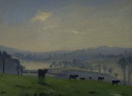 Misty Early Light in Dartmoor