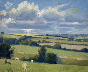 Evening light, cows grazing fields near Gerrans