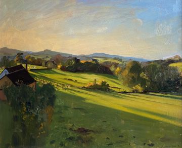 Golden Autumnal evening light over Somerset farmland