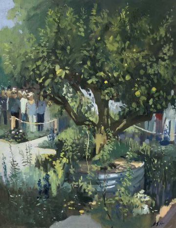 Chelsea Flower show, the Lemon Tree Garden