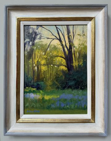 Evening light, Bluebells at Longhall